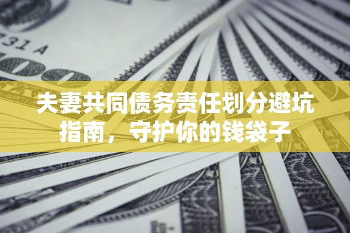 北京夫妻共同债务责任划分避坑指南，守护你的钱袋子