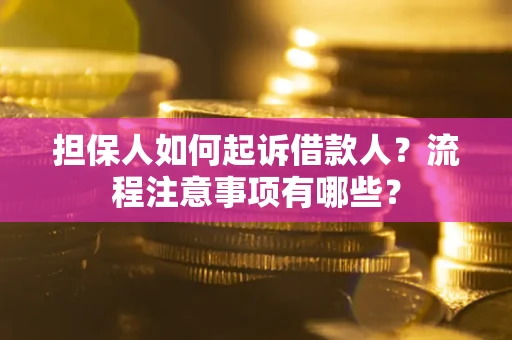 北京担保人如何起诉借款人？流程注意事项有哪些？